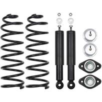 Pakabos komplektas, spyruoklės / amortizatoriai Professional Parts 72431872C