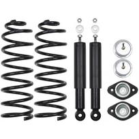 Pakabos komplektas, spyruoklės / amortizatoriai Professional Parts 72431873C