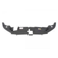 Priekinis variklio gaubtas BLIC 6502-03-8198209P