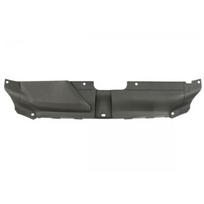 Priekinis variklio gaubtas BLIC 6508-05-0038240P