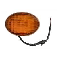 Indikatorius TRUCKLIGHT CL-AG023