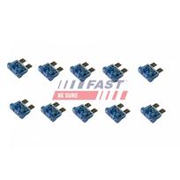 Kuro bako užpildymo vamzdis FAST FT11431