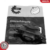 Variklio montavimas ESEN SKV 75SKV080
