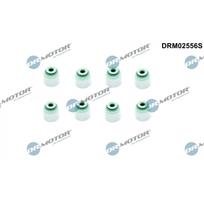 Vožtuvo riebokšlių komplektas Dr.Motor Automotive DRM02556S