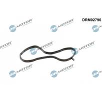 Aušinimo skysčio flanšo tarpiklis Dr.Motor Automotive DRM02796