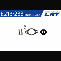 Katalizatoriaus montavimo komplektas LRT E213-233