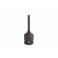 Galvutė su antgaliu torx HANS 84014-3T45