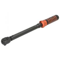 Dinamometrinis raktas PROFITOOL 0X534N210120