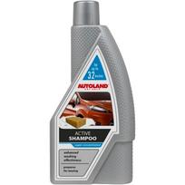 Automobilių šampūnas AUTOLAND 112011099
