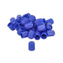 Dangtelis, padangos ventilis PROFITOOL 0XAC VCAP BLUE
