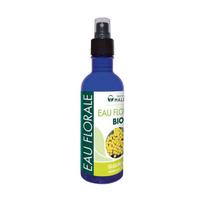 Italinių šlamučių hidrolatas (Helichrysum Italicum), ekologiškas, 200 ml