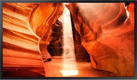 Monitor Samsung OM55N-S (LH55OMNESGBXEN) | LH55OMNESGBXEN | 8806094036138