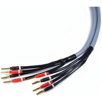 Kabel Melodika Banan x4 - Banan x4 3.5m szary | 05907609000460 | 05907609000460