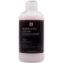 Blautty Repair & Brightener Conditioner kondicionierius dažytiems plaukams su juodųjų serbentų aliejumi, 250 ml