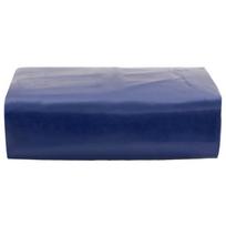 Tentas, mėlynos spalvos, 4x6m, 650g/m² CFE794621