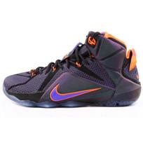 Nike LeBron 12 EP Instinct Cave Purple 707781-583 43