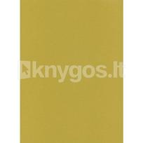Lipnus popierius A4/10l  PROTOS auksinis