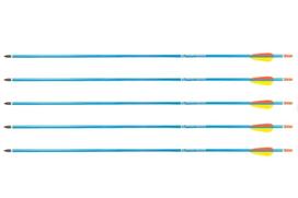 Poe Lang Target 30″ D-016-BAliuminio strėlės 5 vnt. mėlynos spalvos