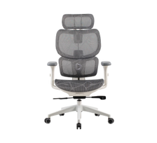Onex Gaming Office Chair | Ventra Premium Mesh | White