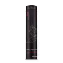 ELGON MAN tonizuojantis šampūnas vyrams DAY UP SHAMPOO, 250 ml