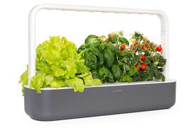 Click And Grow Smart Garden 9 Dark Grey