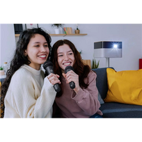 EPSON Wireless Karaoke Microphone Pair | ELPKM01