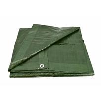 Uždangalas AWTools AW68045; 8x10 m; žalias
