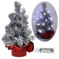 Kalėdų eglutės dekoratyvinės LED lemputės, dirbtinis sidabrinis ornamentas, 20 cm