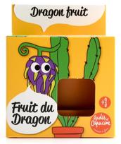 Auginimo rinkinys vaikams RADIS et CAPUCINE. Drakono vaisius