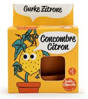 Auginimo rinkinys vaikams RADIS ET CAPUCINE. Citrininis agurkas