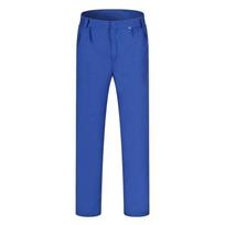 Men's Straight-Leg Relaxed Fit Casual Pants L mėlyna