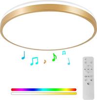 "Horevo" 30 cm "Bluetooth" lubų šviestuvas su nuotolinio valdymo pulteliu, 24 W šampano aukso spalvos lubų šviestuvas, reguliuojamo apšvietimo ir spalvų keitimo šviesa su garsiakalbiu, tinka vaikų kambariui, miegamajam