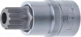 Antgalis įpresuotas į galvutę | 12,5 mm (1/2") | Spline su skyle (XZN) M16 (4356)