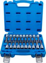 Antgalių rinkinys |  12.5 mm (1/2") | Hex / T-Star (Torx) / Spline (XZN) | šarnyriniai | 20 vnt. (5170)