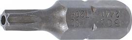 Antgalis | 6,3 mm (1/4") | T-Star su skyle (Torx) T20 (2441)