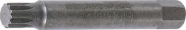 Antgalis | 12.5 mm (1/2") | Spline (for XZN) M10 (4246-M10)