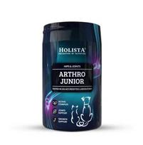 Holista Arthro Junior 200g