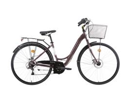 Moteriškas dviratis RAILWAY LADY 18v, 28", rudas