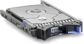 Dysk serwerowy IBM 300GB 2.5'' SAS-1 (3Gb/s)  (FRU81Y9671) | FRU81Y9671 | 5712505470275