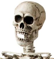 "SKELETAS" lankstomas - 160 cm