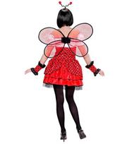 „LADYBUG“ (suknelė, rankogaliai, sparnai, antenos)