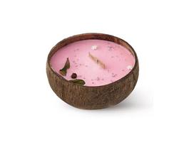 Kvapnioji žvakė „Tropikalia Frozen Cranberry“, kokoso vaškas, 500 g