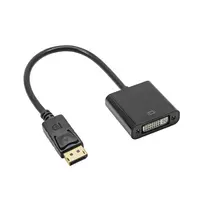 AKYGA Converter adapter with cable AK-AD-58 DisplayPort (male) | DVI 24+5 (female) 20cm