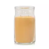 Yankee Candle Debenhams Signature Large Jar Glistening Leaves