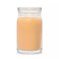 Yankee Candle Debenhams Signature Large Jar Slopeside Spritz