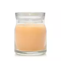 Yankee Candle Debenhams Signature Medium Jar Slopeside Spritz
