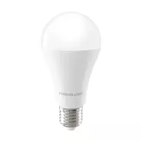 Forever Light LED Bulb E27 A65 17W 2100lm 3000K Class E