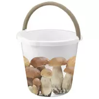 Branq Spanish 10L, Sēnes