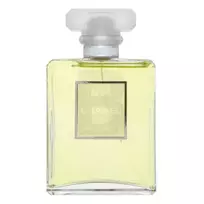 Chanel No.19 Poudré (EDP) Eau de Parfum for Women 100 ml
