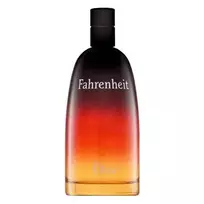 Christian Dior Dior Fahrenheit Eau de Toilette for men 200 ml